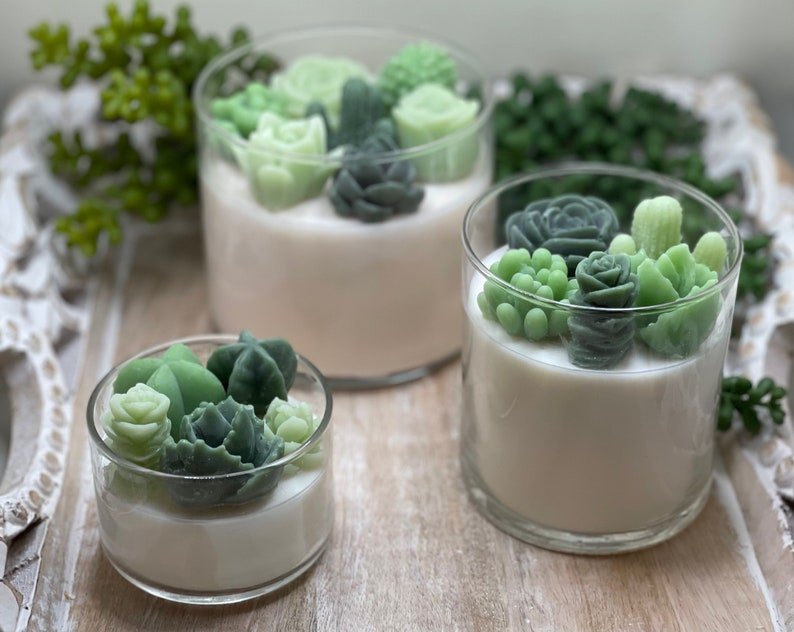 Succulent Soy Candle | Green Variety | Handmade | Custom Candle | Strong Scent - 图片 7