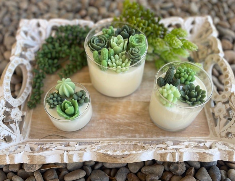 Succulent Soy Candle | Green Variety | Handmade | Custom Candle | Strong Scent - 图片 4