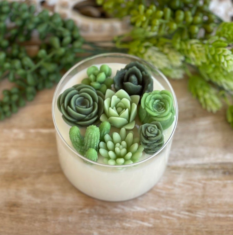 Succulent Soy Candle | Green Variety | Handmade | Custom Candle | Strong Scent - 图片 8
