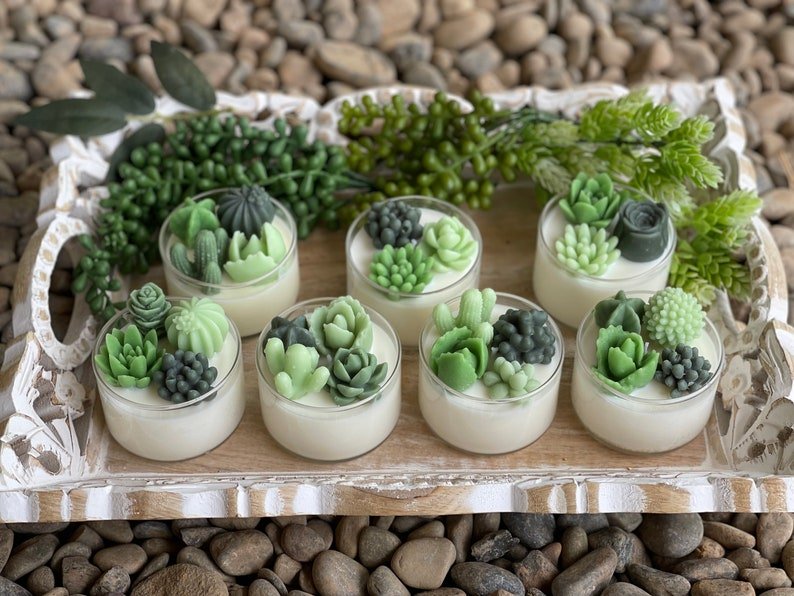 Succulent Soy Candle | Green Variety | Handmade | Custom Candle | Strong Scent - 图片 5