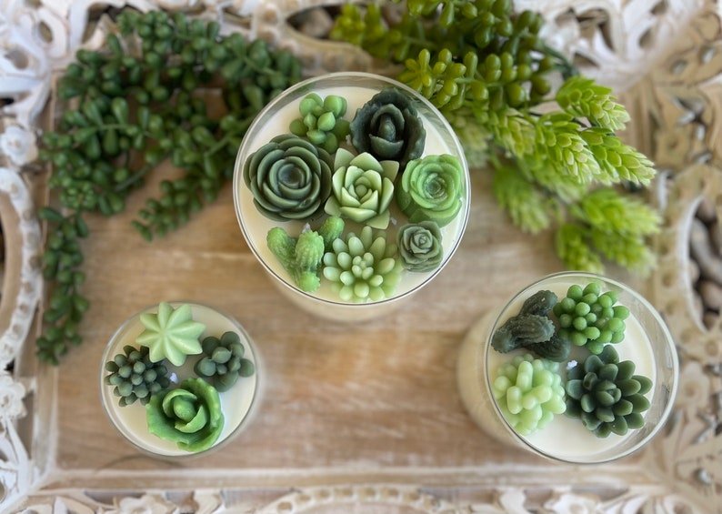 Succulent Soy Candle | Green Variety | Handmade | Custom Candle | Strong Scent - 图片 3