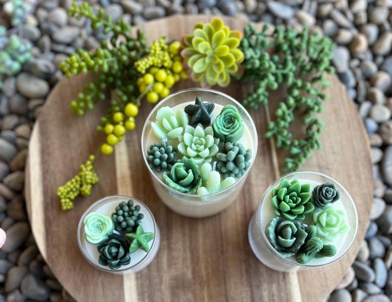 Succulent Soy Candle | Green Variety | Handmade | Custom Candle | Strong Scent